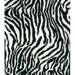 Película de impressão hidrográfica