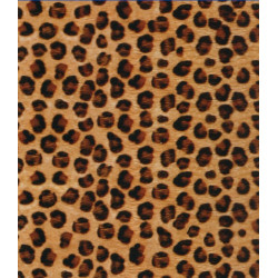 Película de impressão hidrográfica