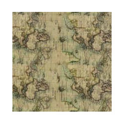 Película de impressão hidrográfica