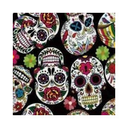 Película de impressão hidrográfica