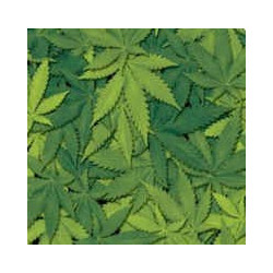 Película de impressão hidrográfica