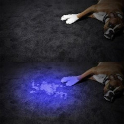 Minitocha portátil tipo lâmpada UV